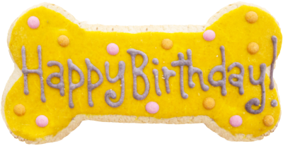 Hollywood Feed Fresh Bakery Yellow Birthday Cookie