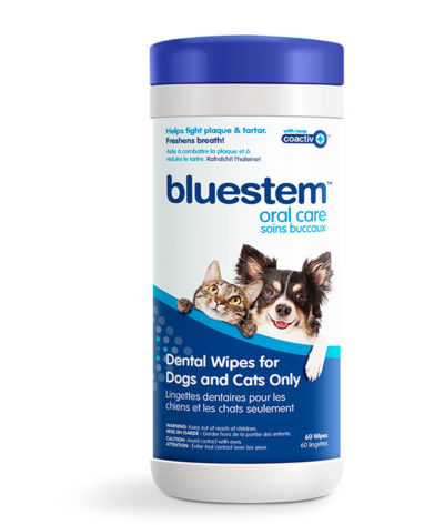 bluestem Dental Wipes for Dogs & Cats