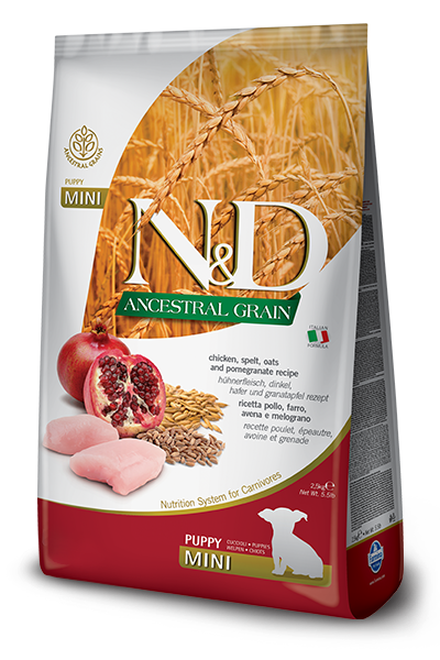 Farmina Dry Puppy Food - N&D Ancestral Grain Chicken & Pomegranate
