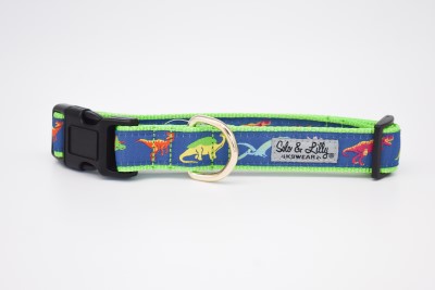 Solo & Lilly Dog Collar - Dinosaurs