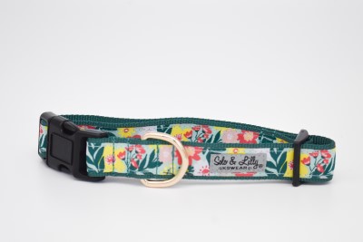 Solo & Lilly Dog Collar - Spring Bouquet