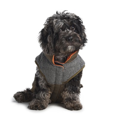 Hotel Doggy Dog Clothing - Olive Utility Vest