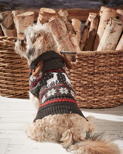 Hotel Doggy Dog Sweater - Hooded Christmas Sweater with Antlers