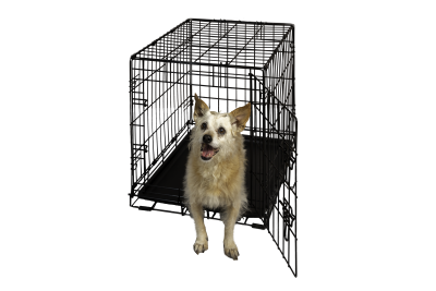 Hollywood Feed Dog Crate - Single Door