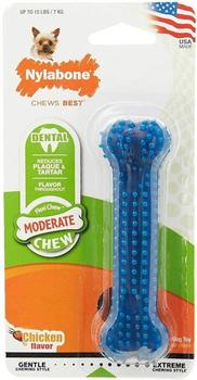 Nylabone Dental Chew Bone Dog Toy