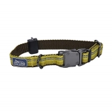 Coastal K9 Explorer Reflective Adjustable Dog Collar-Goldenrod