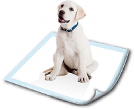 PoochPad Disposable Potty Pads-Medium