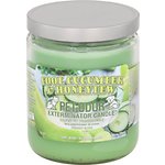Pet Odor Exterminator Cool Cucumber & Honeydew Candle