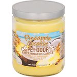 Pet Odor Exterminator Pineapple Coconut Deodorizing Candle
