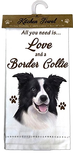 E&S Kitchen Towel All You Need is Love and a-Border Collie