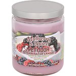 Pet Odor Exterminator Mulberry & Spice Deodorizing Candle