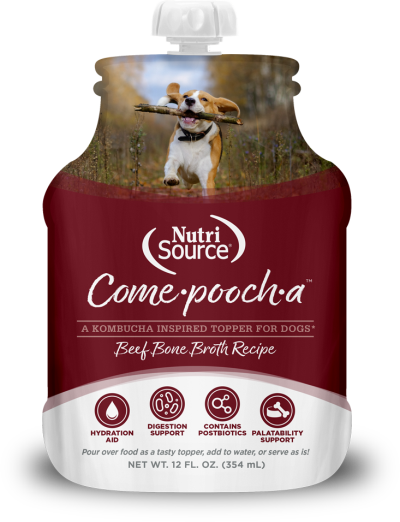 NutriSource Come-Pooch-A Beef Bone Broth Recipe for Dogs
