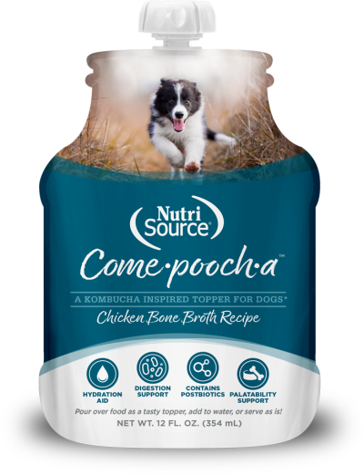 NutriSource Come-Pooch-A Chicken Bone Broth Recipe for Dogs