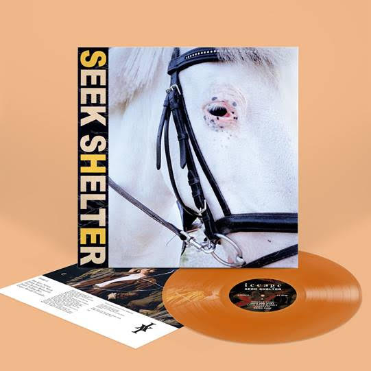 Iceage/Seek Shelter (Orange Vinyl)@Indie Exclusive