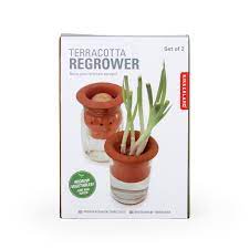 Regrower/Terracotta