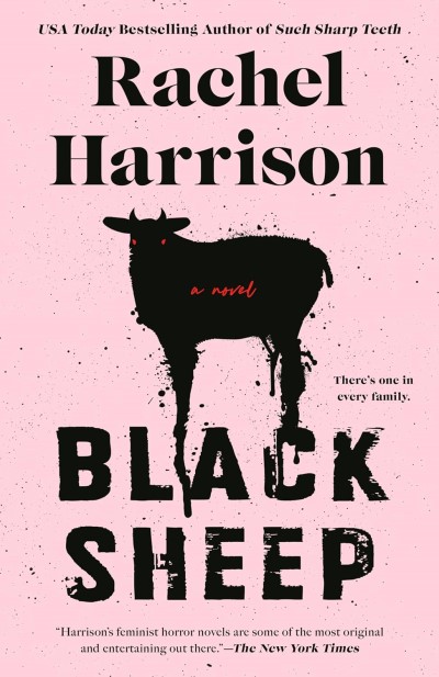 Rachel Harrison/Black Sheep (2023)