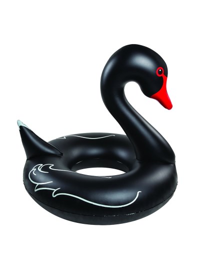 Pool Float/Black Swan