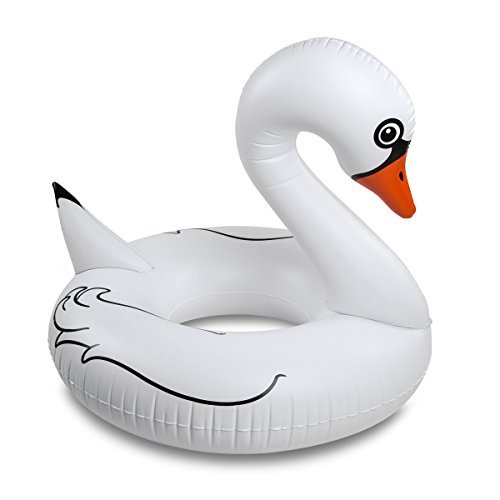 Pool Float/White Swan