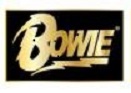 Enamel Pin/David Bowie - Bowie