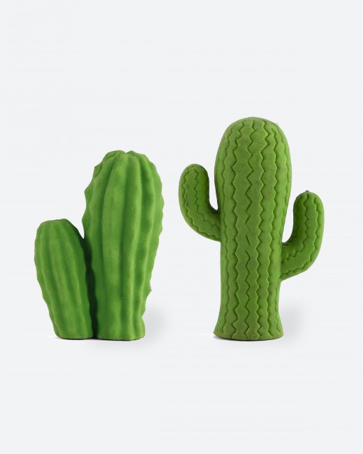 Eraser/Cactus - Set Of 2