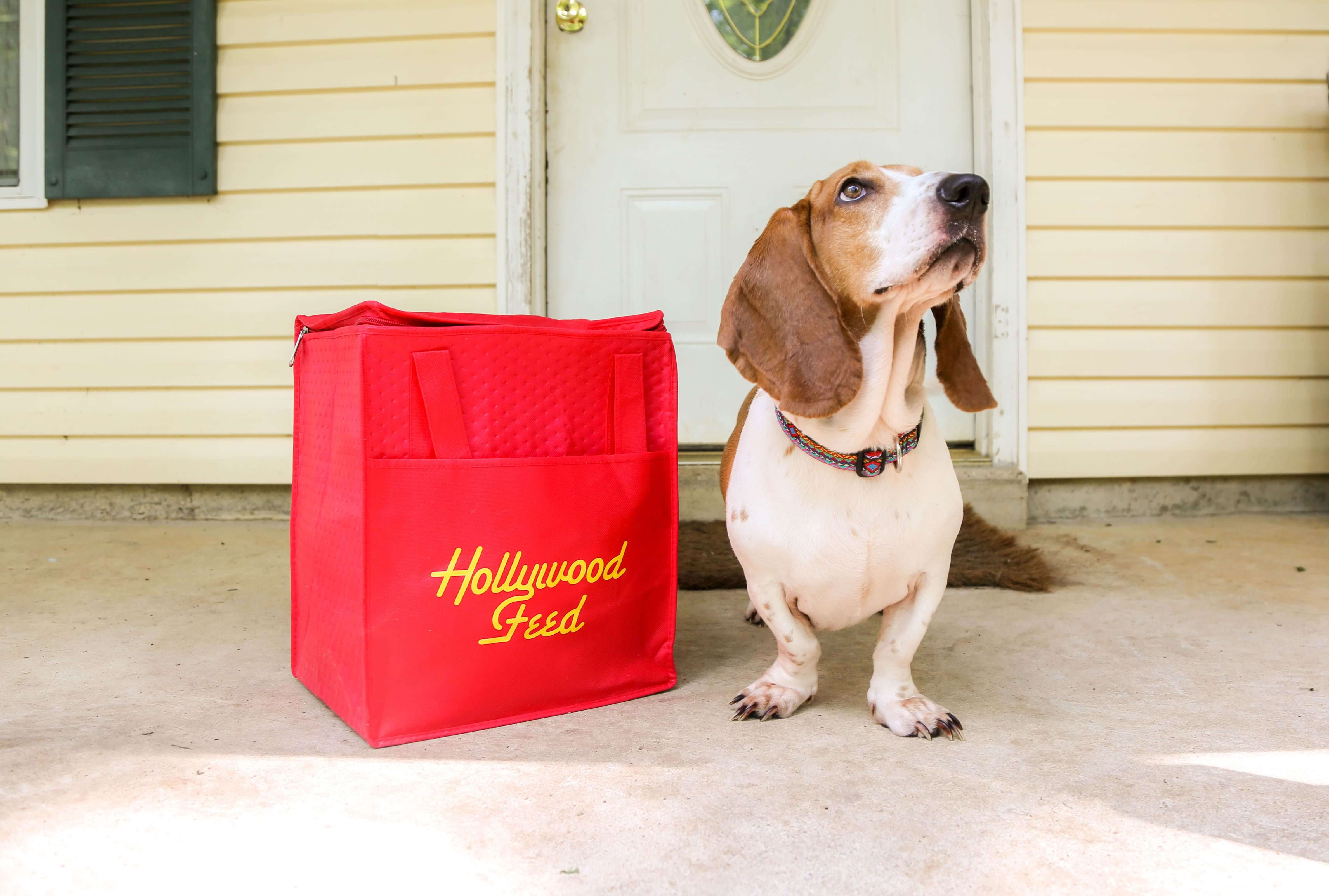 Dog with Delivered Goods