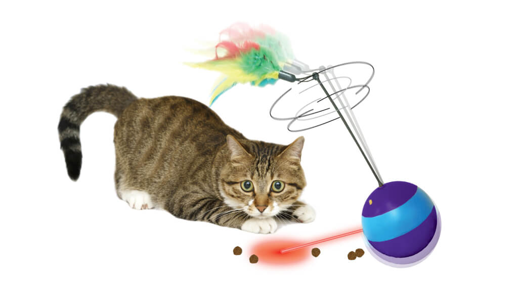 Cat playing with interactive spin about laser & treat dispenser