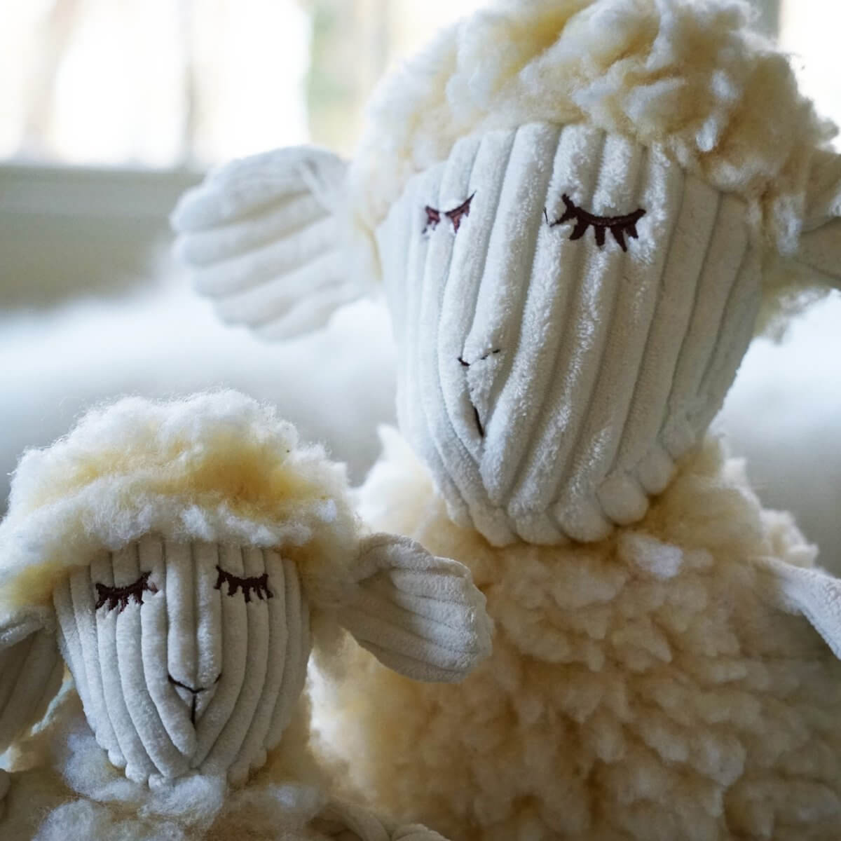 Two flufferknottie lambs 