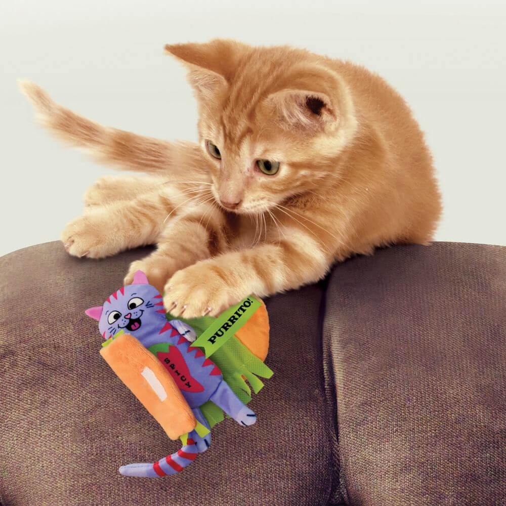 Cat playing with kong pull-a-partz purrito