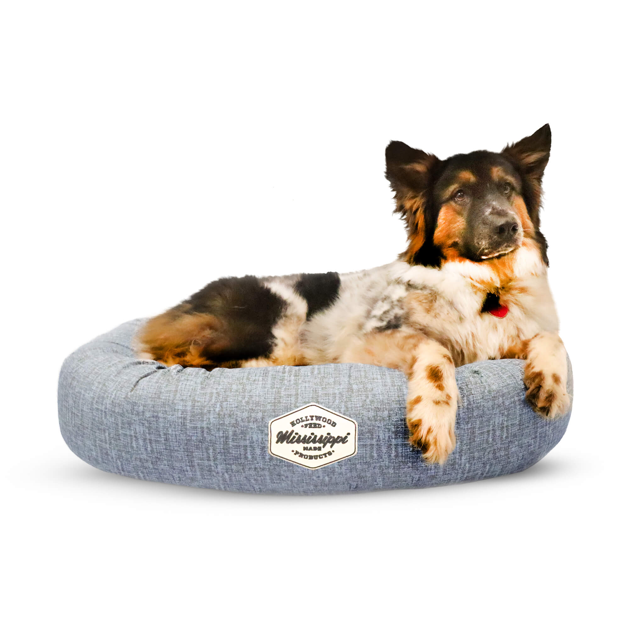 blue cotton donut bed front view with dog