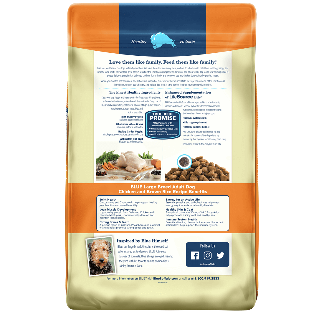 Back view of Blue Buffalo Dog Food - Large Breed Adult Chicken & Brown Rice 30lbs