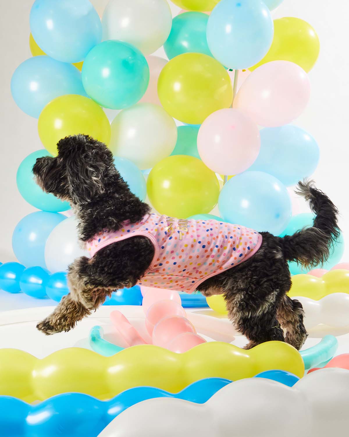 Hotel Doggy Dog Shirt - Happy Barkday pink