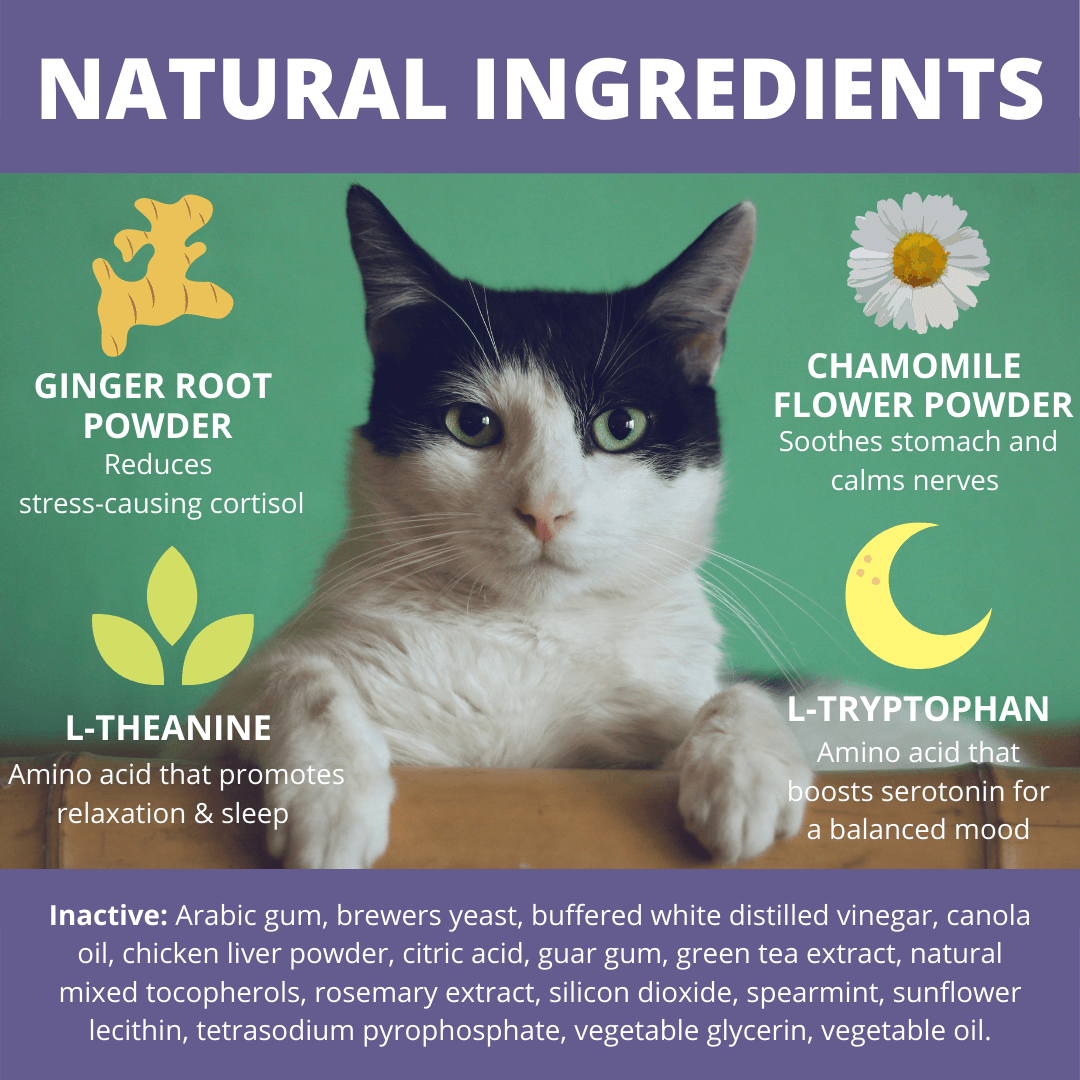 Under the Weather Cat calming Natural ingredients