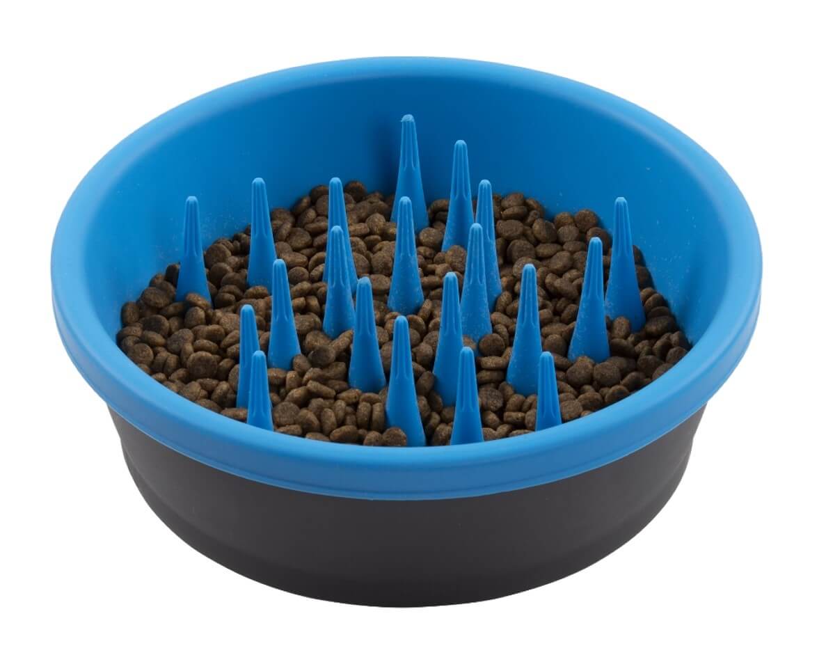 Dexas silicone blue dog slow feeder bowl with food