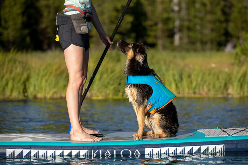 Dog wearing dog life jacket on raft with woman 