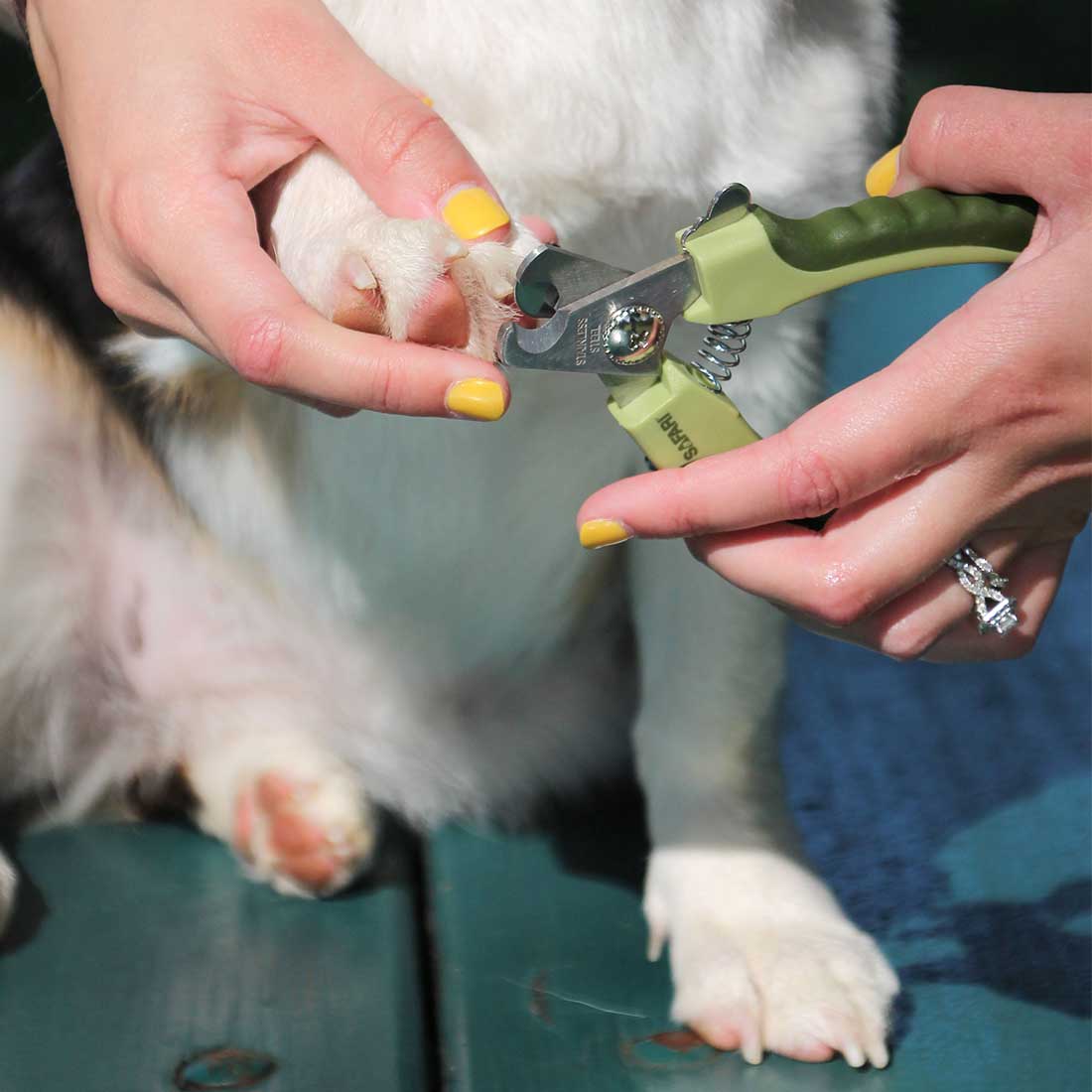 Safari Dog Nail Clipper - Professional Nail Trimmer