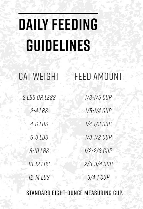 Essence Daily feeding guidelines