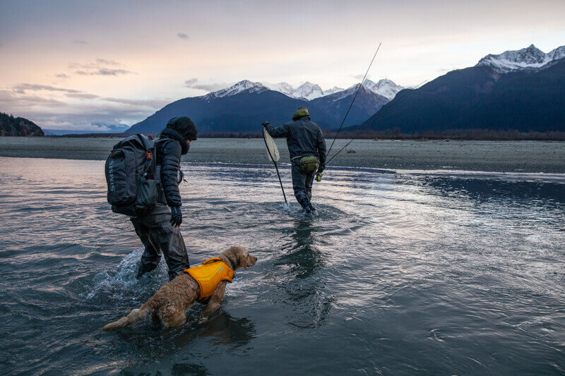 Dog wearing dog life jacket in water