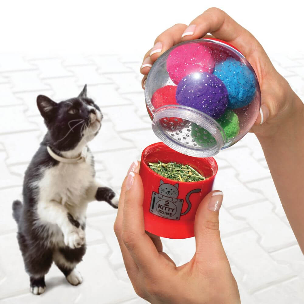 Cat looking at hand holding kong catnip infuser