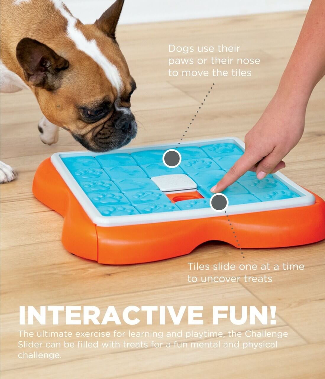 Challenge Slider Interactive Treat Puzzle Dog Toy Nina Ottoson level 3 with dog interactive fun