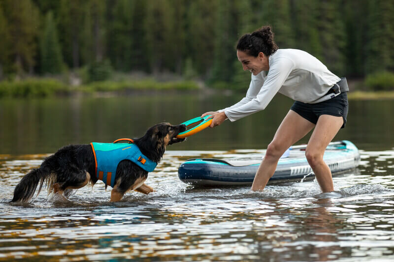 Dog wearing dog life jacket playing tug-a-war in water with woman