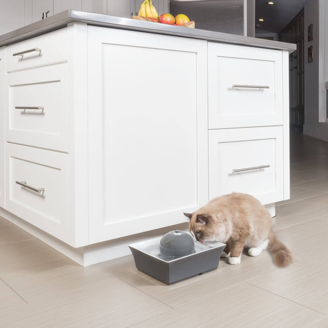 Cat drinking out of drinkwell seascape pet fountain on kitchen floor