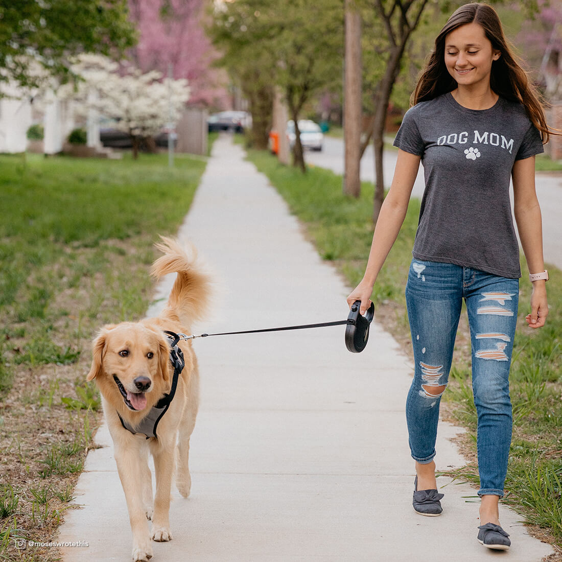 Coastal - Retractable Dog Leash