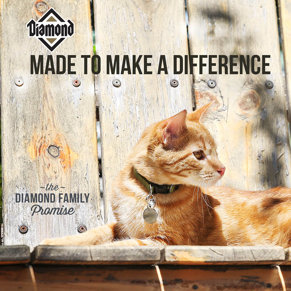 Diamond Made to make a difference