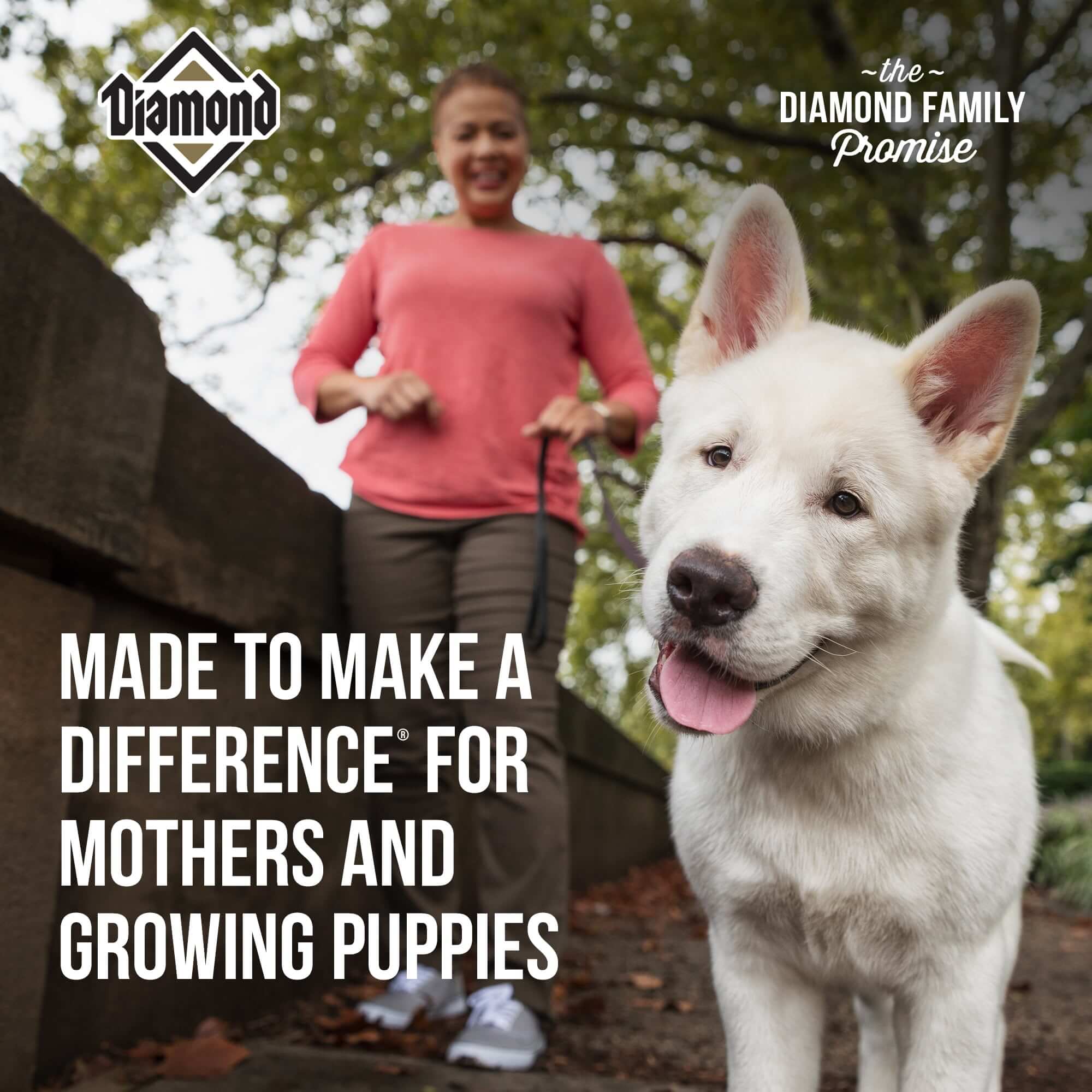 Diamond Made to make a difference for mothers and growing puppies