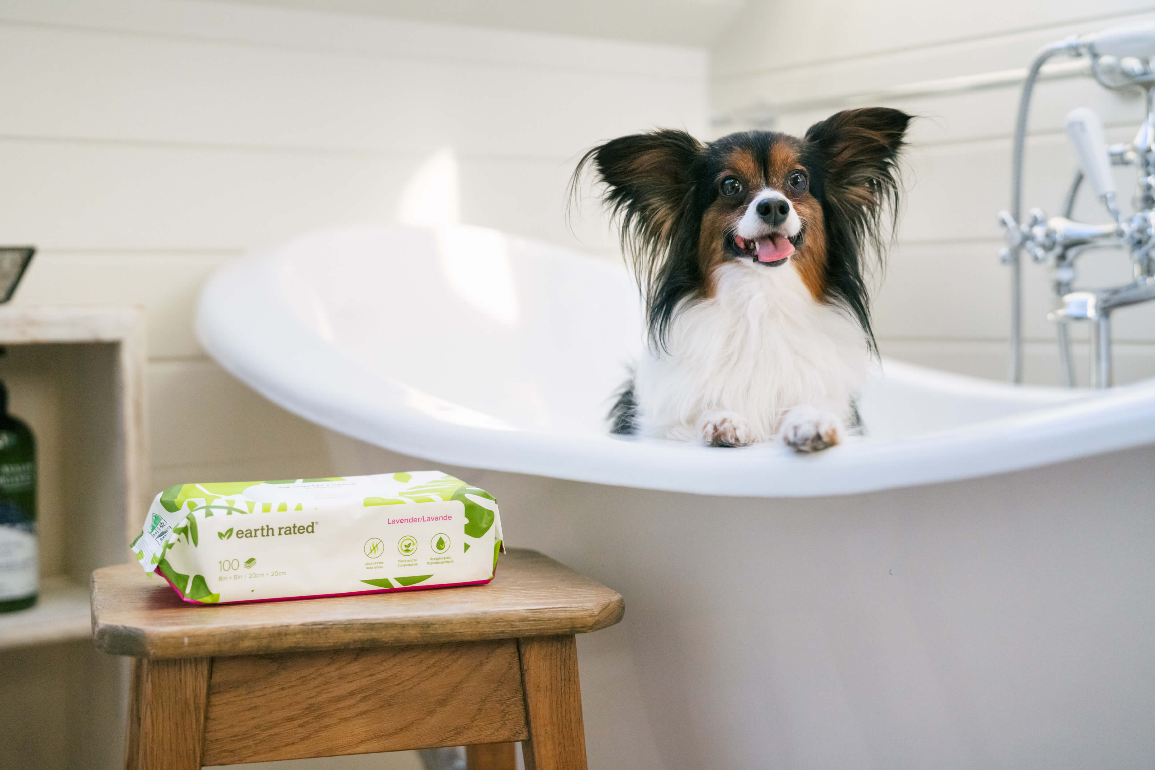 Dog sitting in bubble bath next to earth rated compostable dog grooming wipes