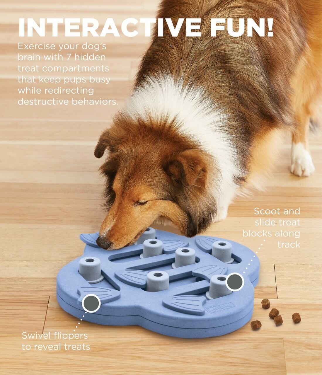 Dog Hide N' Slide Interactive Treat Puzzle Dog Toy Purple from Nina Ottosson level 2 with dog