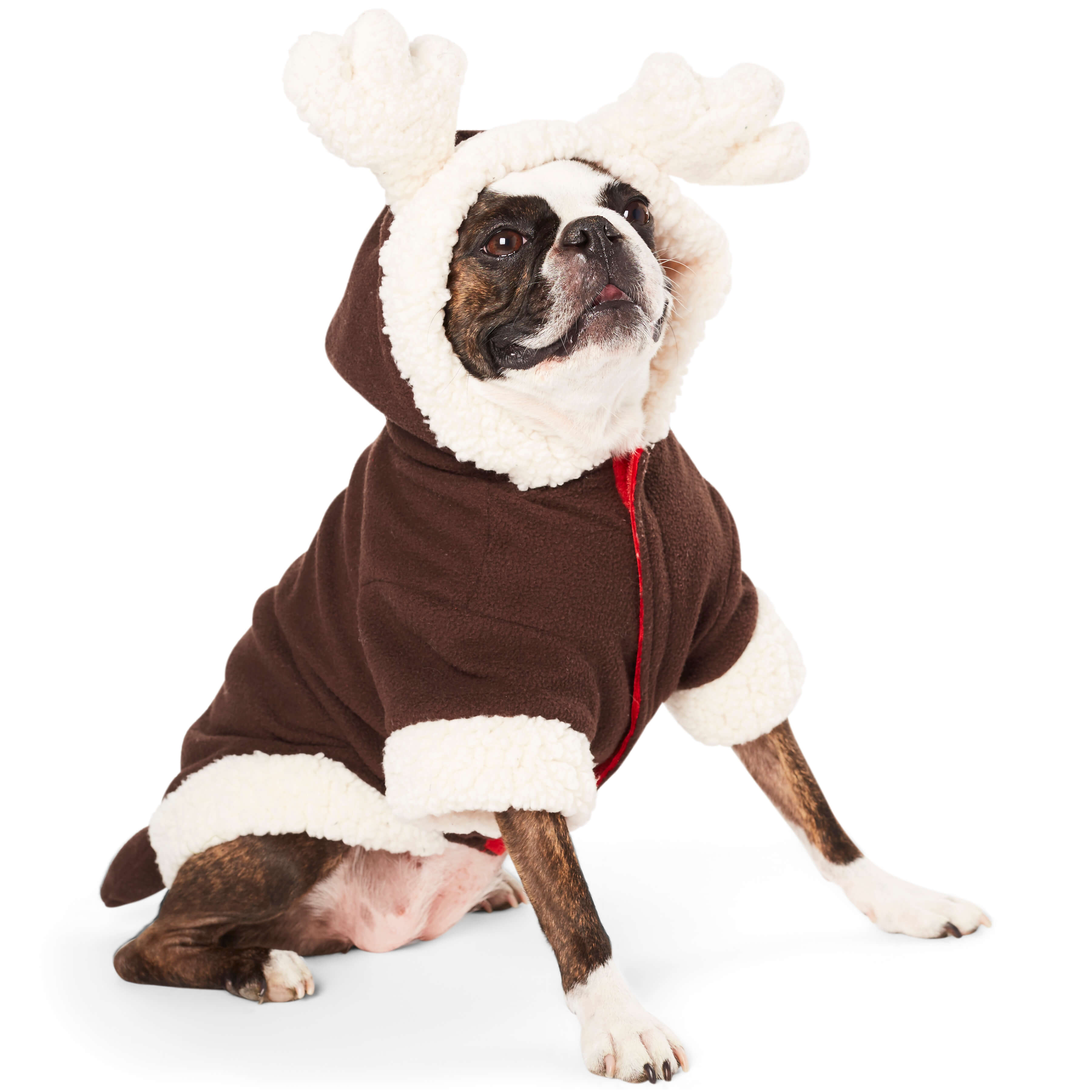 Dog wearing deer side of reversable santa/deer outfit