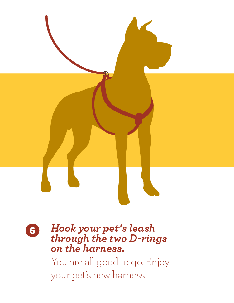 Harness instructions
