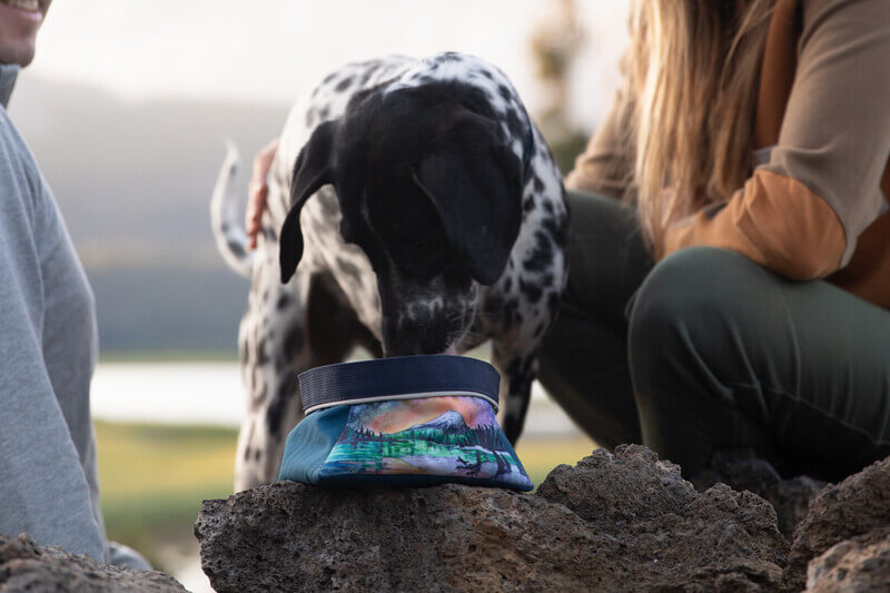 Dog outside drinking from sparks lake packable pet bowl