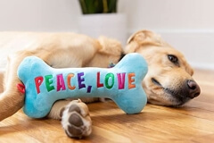 Dog laying with peace, love, belly rubs plush dog toy